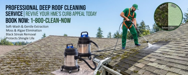 Professional Roof Cleaning Services